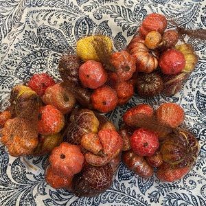 Mini Pumpkin Bundle! 5 bags of sparkly mini gourds